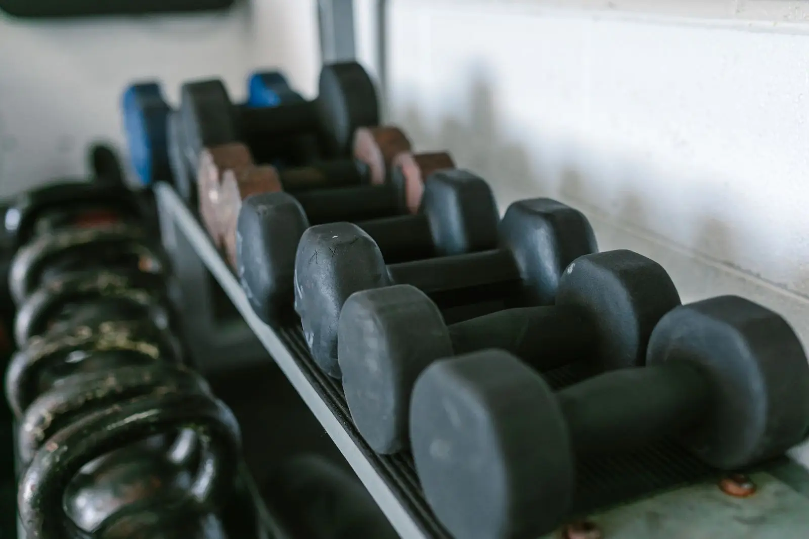 Dumbbells and kettlebells racked along a wall