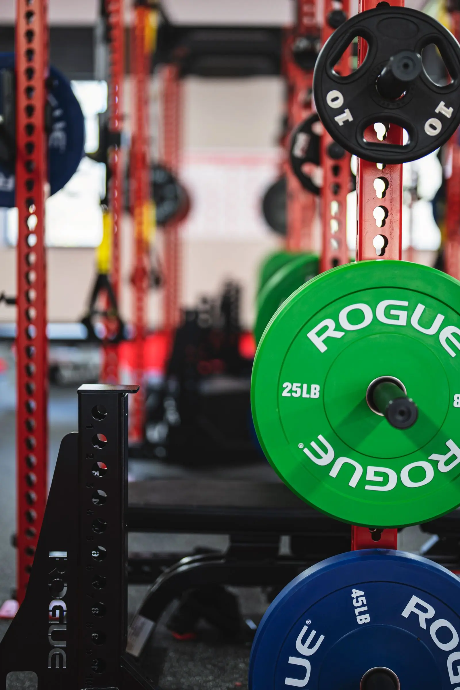 Plates stored on the upright of a power rack