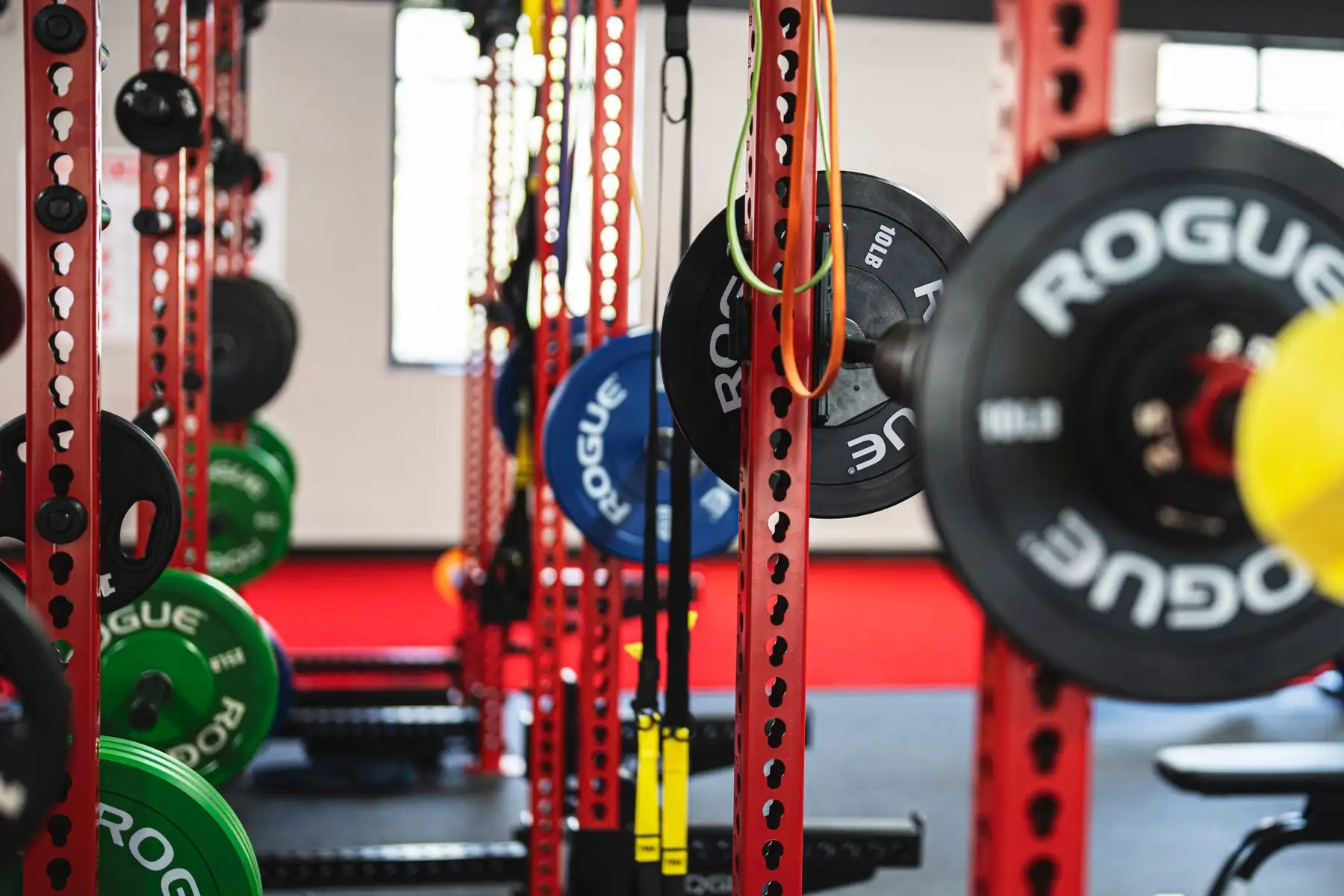 Barbells and plates laid out across the training floor